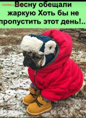 юмор - IMG-20220606-WA0007