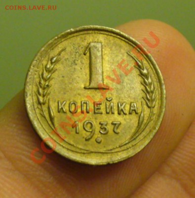 Копейки - P1180720.JPG