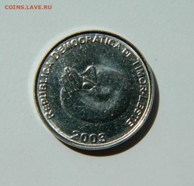 Восточный Тимор 1 сентаво 2003 г. (Фауна) до 09.06.22 - DSCN6268.JPG