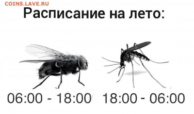юмор - IMG-20220606-WA0011