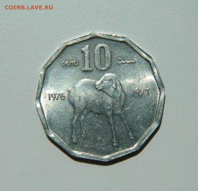 Сомали 10 центов 1976 г. (Фауна)  до 13.06.22 - DSCN6549.JPG
