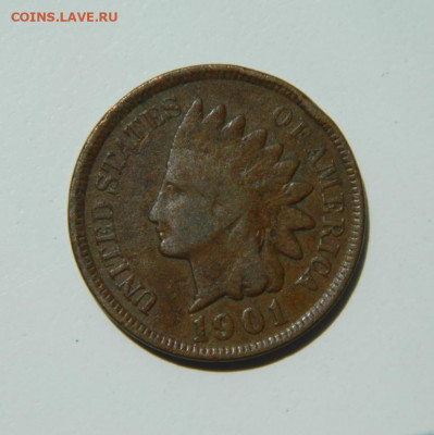 США 1 цент 1901 г. (Индеец). до 13.06.22 - DSCN6361.JPG