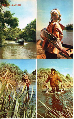 ОТКРЫТКИ ДЕЛЬТА ВОЛГИ 1969 г. до 13.06.22 г. в 23.00 - 031