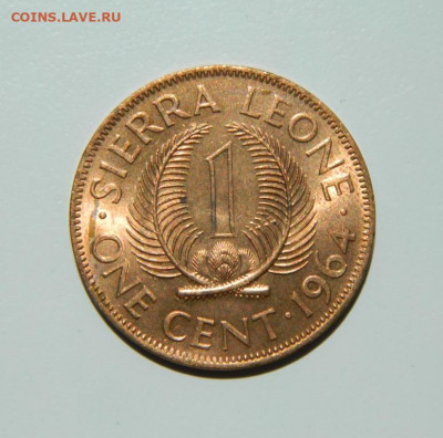 Сьерра-Леоне 1 цент 1964 г. до 13.06.22 - DSCN6535.JPG