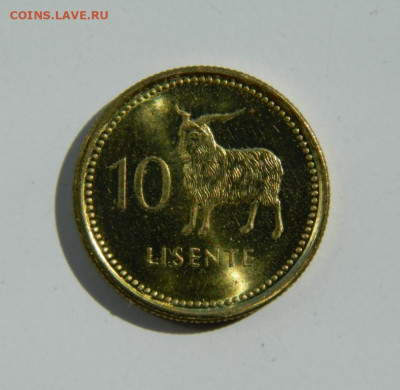 Лесото 10 лисенте 1998 г. (Фауна). до 13.06.22 - DSCN6580.JPG