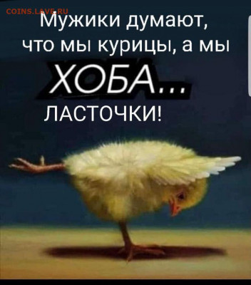 юмор - IMG-20220608-WA0001