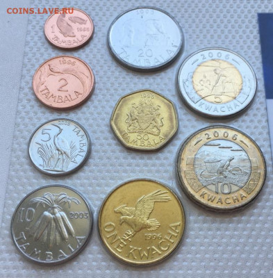 Набор монет Малави 9 шт биметалл флора фауна животные - nabor_monet_malavi_9_sht_bimetall_flora_fauna_zhivotnye_rastenija_blister_1_2_5_10_20_50_tambal_kvach (2)