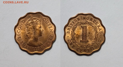 Британский Гондурас 1 цент 1965 года  -12.06 - IMG_20220605_183833