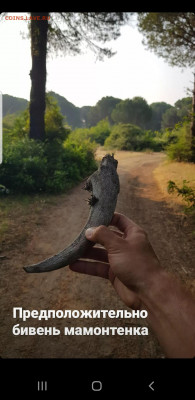 делает - прямо сейчас !!! - Screenshot_20220609-091103_Instagram