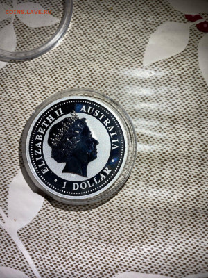 1 Доллар. Лунный календарь Год Свиньи Цветная Лунар, 2007 до - Q8a2M_0O1yg