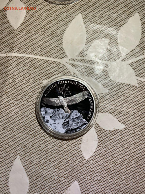 500 Тугриков. Фауна Сокол Беркут Орел, 2013 до 15.06 - Ey6VrDBaK9s