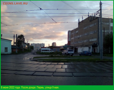 ФОТО - просто фото. Те что получились удачными. - 2022-06-08=06 После дождя