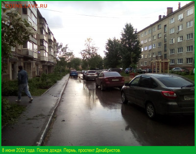 ФОТО - просто фото. Те что получились удачными. - 2022-06-08=01 После дождя