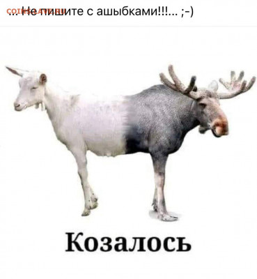 юмор - IMG-20220610-WA0001