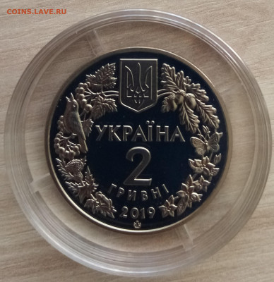 УКРАИНА 2 гр 2019 г Орлан белохвост до 13.06 - IMG_20220611_081203