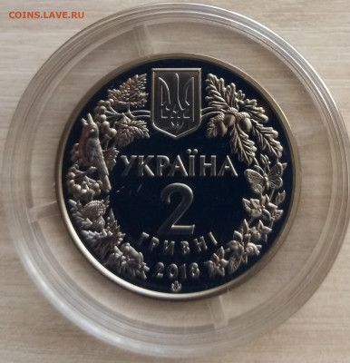 УКРАИНА 2 гр 2018 г Марена днепровская до 13.06 - IMG_20220611_081215