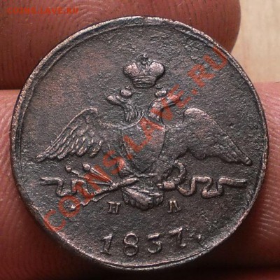 1 коп.1834 ем.фх.до27.11.11.в22-00мск. - PB210138.JPG