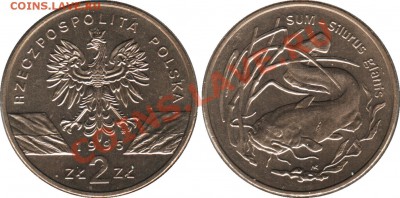 2-х злотовые монеты Польши - 2-zl_1995_Sum_Silurus_glanis_foto_o