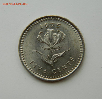 Британская Родезия 5 центов 1975 г. до 16.06.22 - DSCN6755.JPG