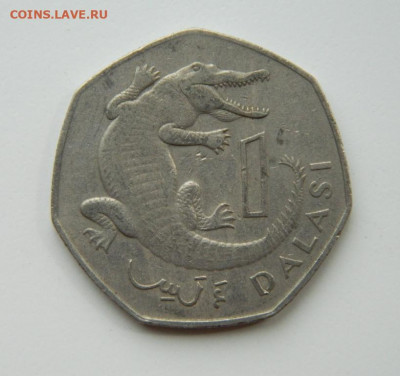 Гамбия 1 даласи 1987 г. (Фауна) до 16.06.22 - DSCN6700.JPG