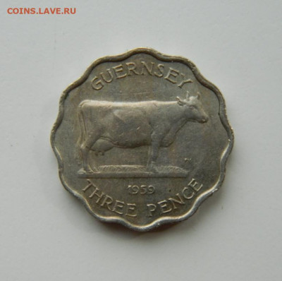 Гернси 3 пенса 1959 г.(Фауна). до 16.06.22 - DSCN6710.JPG