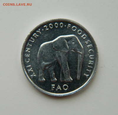Сомали 5 шиллингов 2000 г. (Фауна) ФАО до 16.06.22 - DSCN6769.JPG