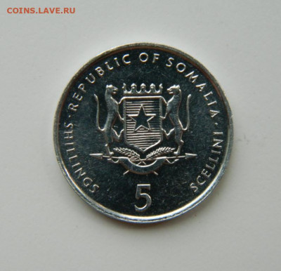 Сомали 5 шиллингов 2000 г. (Фауна) ФАО до 16.06.22 - DSCN6768.JPG