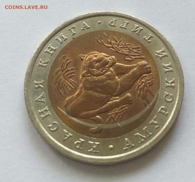 10 рублей Амурский тигр - брак ? - 20220612_123149