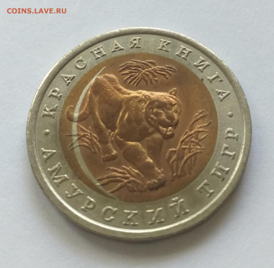 10 рублей Амурский тигр - брак ? - 20220612_123032