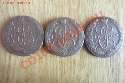 пятаки екатерины - P1020284.JPG