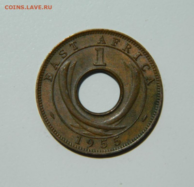 Британская Восточная Африка 1 цент 1955 г. до 16.06.22 - DSCN6609.JPG