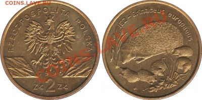 2-х злотовые монеты Польши - 2-zl_1996_Jez_Erinaceus_europaeus_foto_o
