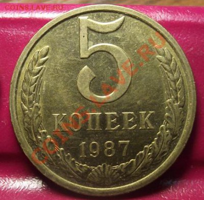 3 КОП 84, 5 КОП 86, 87 шТЕМПЕЛЬНЫЙ БЛЕСК  24.11.11 г.  22:00 - 2011_11220141.JPG