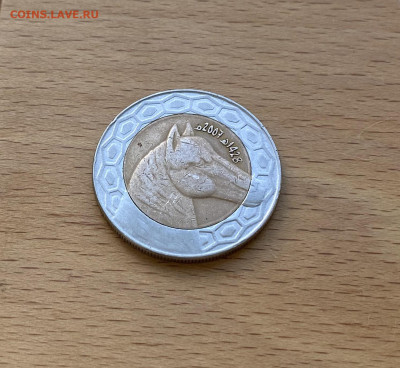 биметалл Алжир 50 динаров 2007 Берберийская лошадь фауна - IMG_5598.JPG