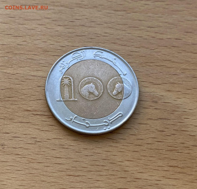 биметалл Алжир 50 динаров 2007 Берберийская лошадь фауна - IMG_5601.JPG