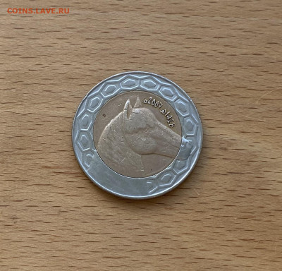 биметалл Алжир 50 динаров 2007 Берберийская лошадь фауна - IMG_5597.JPG