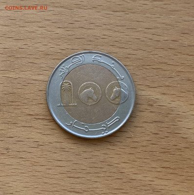биметалл Алжир 50 динаров 2007 Берберийская лошадь фауна - IMG_5600.JPG