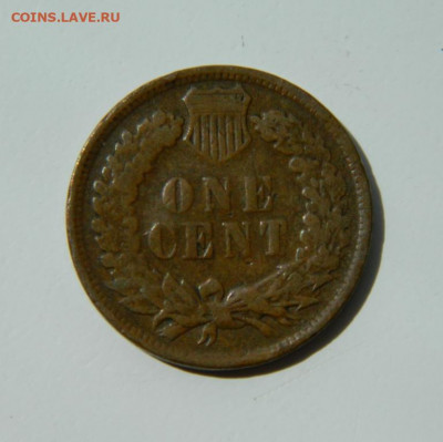 США 1 цент 1901 г. (Индеец). до 21.06.22 - DSCN0009.JPG