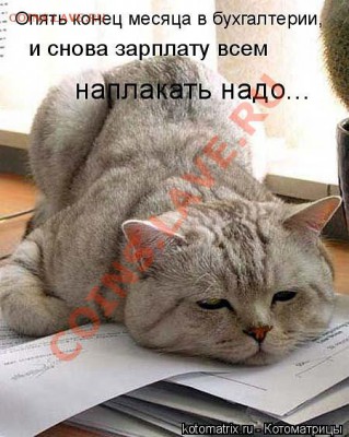 юмор - кот наплакал