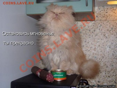 юмор - Цезарь