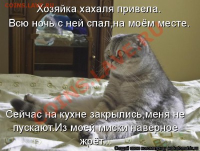 юмор - бриташа 2
