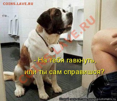 юмор - гав