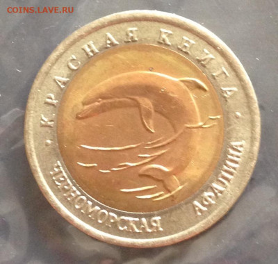 КК Черноморская афалина 22.6.22 22.00 МСК . - 2022-06-14 15-46-28.JPG