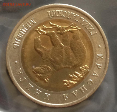 КК Гималайский медведь 22.6.22 22.00МСК . - 2022-06-14 15-50-23.JPG