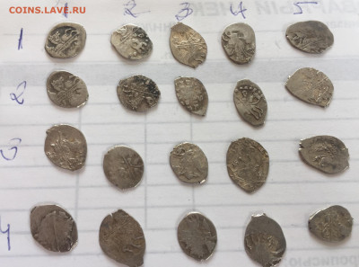 Чешуя кладовая на оценку и определение - 705A1F98-6EC0-4B48-A111-BB6CA8133D96