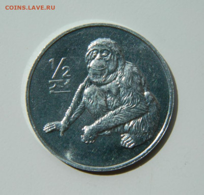 2 чон 2002г.(Юбилейная)Орангутанг до 23.06. - DSCN0119.JPG
