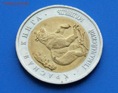 КК 50 рублей 1993 г. Гималайский Медведь до 23.06 - 33.1.3.JPG
