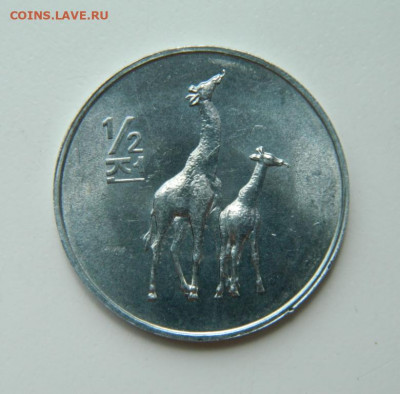 2 чон 2002 г.(Юбилейная) Жирафы до 23.06.22 - DSCN0380.JPG