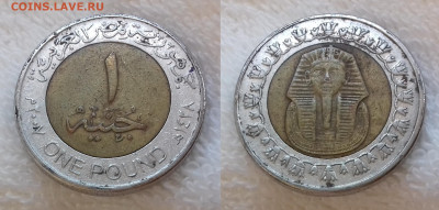 Египет 1 фунт 2007 до 25 июня 22-00 мск - ЕГИПЕТ 1 фунт 2007 20191124_1103