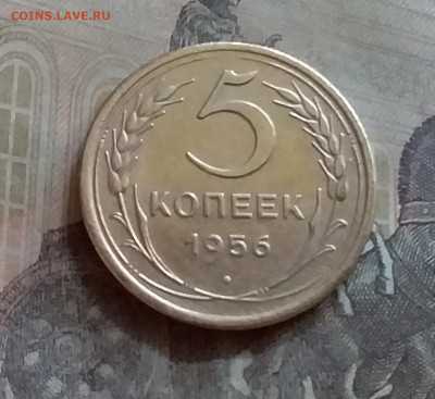 5 копеек 1956. До 25.6.22 в 22.00 - 20220619_145000